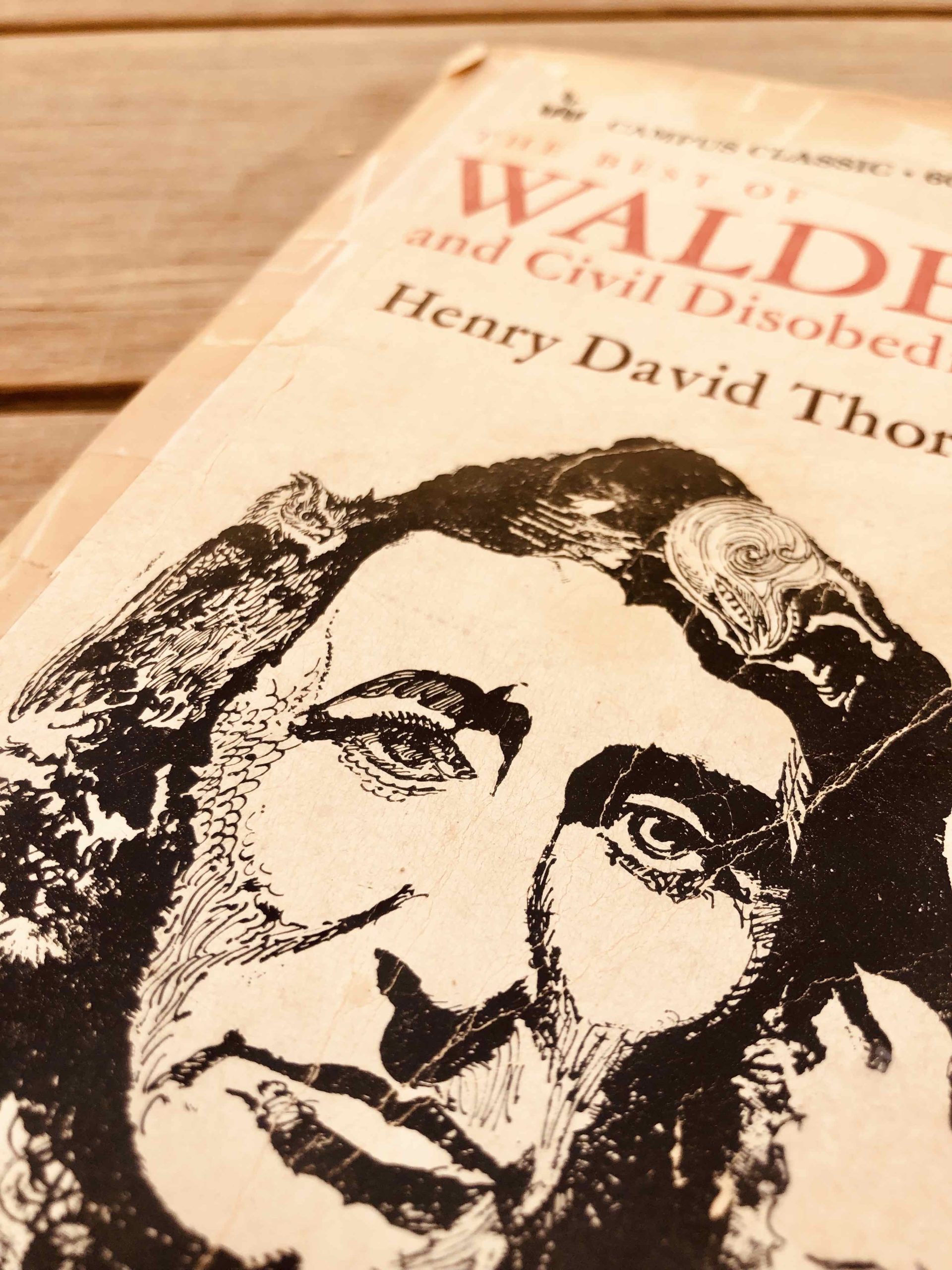 Henry David Thoreau and the Pathways of the Mind